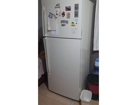 Beyaz Eşya, Lg Buzdolabı