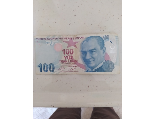 Ko Hatalı 100 lira