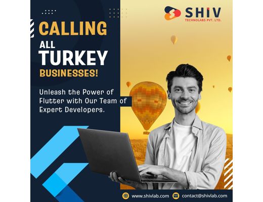 Shiv Technolabs Shiv Technolabs, Top Flutter App Development Company in Turkey