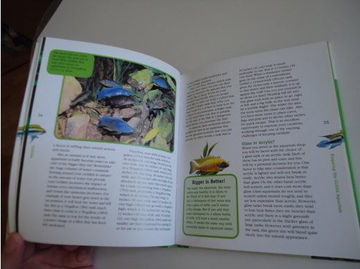 aquarium care of cichlids, claudia dickinson, kitap, dergi aquarium care of cichlids hardcover tertemiz