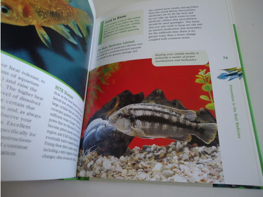 aquarium care of cichlids, claudia dickinson, kitap, dergi aquarium care of cichlids hardcover tertemiz