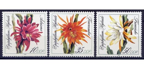 Koleksiyon, Pullar, Almanya (Doğu) 1989 Damgasız Kaktüs Çiçekleri Seri