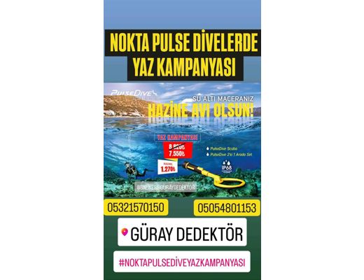 Nokta Nokta pulse dive indirim Scuba pulse dive kampanyası Nokta, Nokta Pulse Dive Scuba 20 Cm Sualtı Dedektör ve No, Nokta p