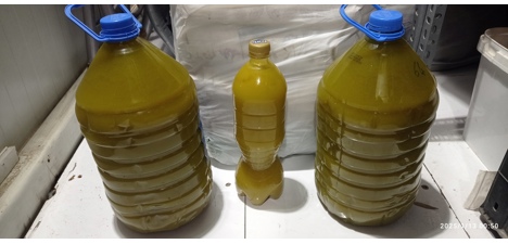 Diğerleri, Kategorisi Olmayan Her Şey, Zeytinyağı