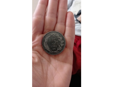 Koleksiyon, Paralar, Madeni Para