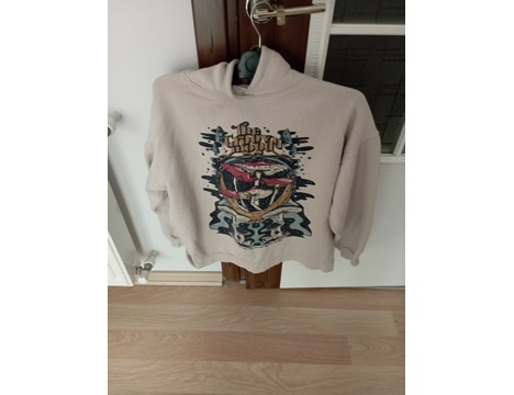 Giyim Eşyası, Bayan Sweatshirt, Pool&Bear /Champion, M , Bayan Siviti , Farklı Renklerde Bayan Sweati