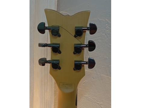 Müzik Aletleri, Elektro Gitar Acil Satılık , Elektro Gitar Sgr By Schecter