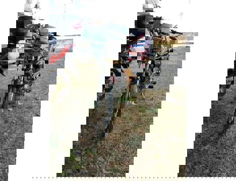 Vasıta, Scooter, Arora, Gt, Motoru Acil Satiyorumm