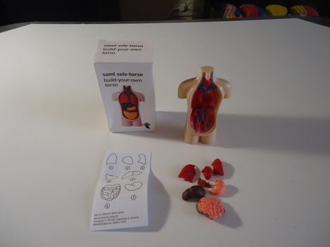 Hobi, Oyunlar, Oyuncaklar, Flying Tiger/Copenhagen, Build Your Own Torso, Anatomi Oyuncağı, Anatomi Oyuncak Mini Kutusunda Te