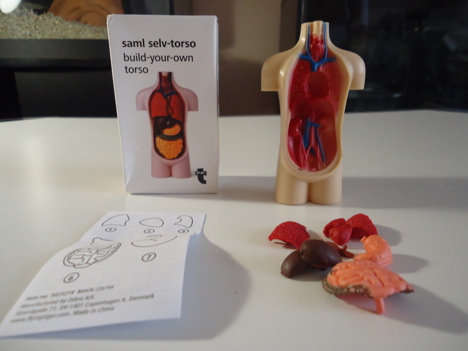Hobi, Oyunlar, Oyuncaklar, Flying Tiger Copenhagen, Build Your Own Torso, Anatomi Oyuncağı, Anatomi Oyuncak Mini Kutusunda Te