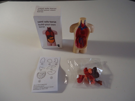 Hobi, Oyunlar, Oyuncaklar, Flying Tiger Copenhagen, Build Your Own Torso, Anatomi Oyuncağı, Anatomi Oyuncak Mini Kutusunda Te