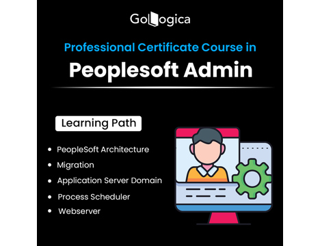 Bilgisayar, Sunucu, Server, Elevate Your Skills With Gologica Peoplesoft Admi