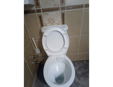Mobilya, Banyo Mobilyaları, Tuvalet Klozet Temizdir