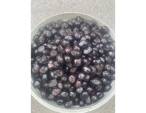 Diğerleri, Kategorisi Olmayan Her Şey, 2025, Zeytin Bursa Gemlik Siyah Orta Boy