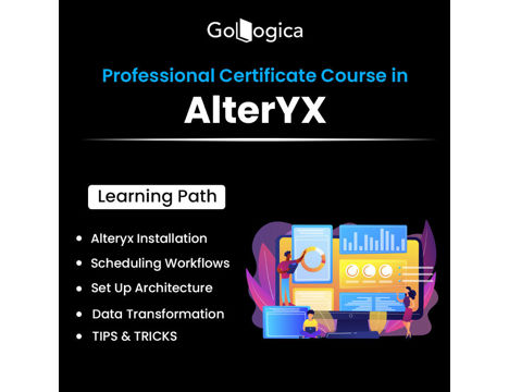 Bilgisayar, Masa Üstü, Escort, Education, Enhance Your Alteryx Online Training With Gologica