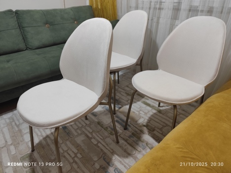 Mobilya, Diğer Mobilyalar, Mondi Sandalye Sıfır