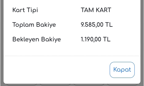 Diğerleri, Kategorisi Olmayan Her Şey, Ego Kart / Başkent Kart