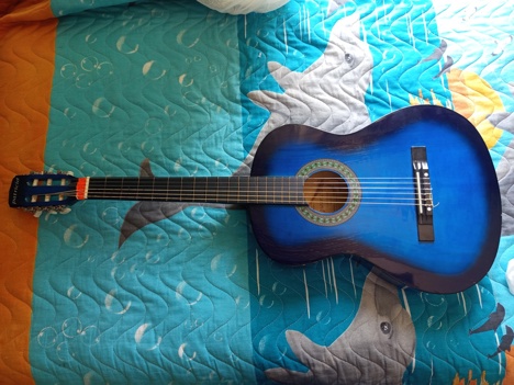 Müzik Aletleri, Patricio Pcg 20 Klasik Gitar Sahibinden Adana