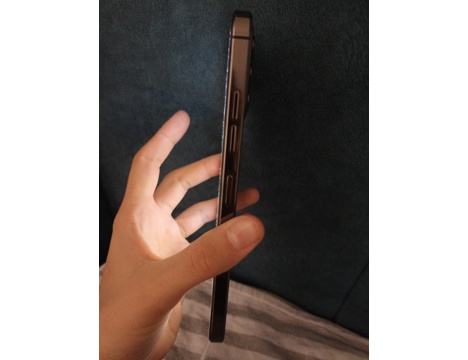 Cep Telefonu, Reeder Bir Günlük Telefon