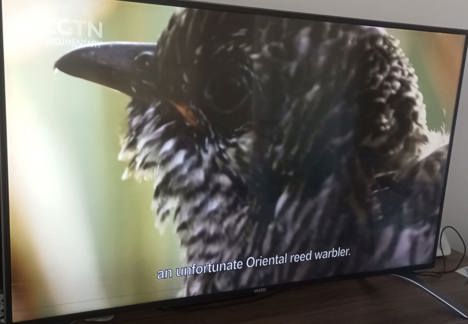 Elektronik Eşya, Led Tv, Smart Led Tv, Vestel 43Ud9300 Led 4K Smart Tv (Tkgs,Yatık Çizgi)