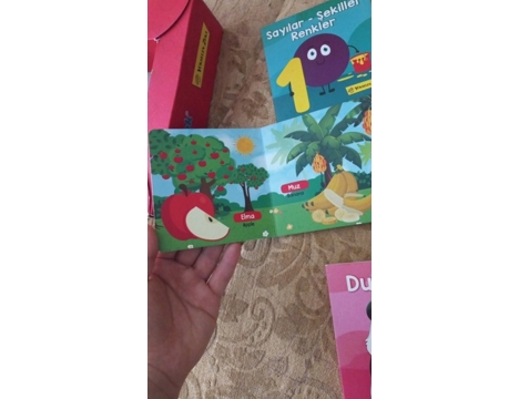 Kitap, Dergi, Çocuk Kitapları, Yükselen Zeka 0-24 Ay Bebek Eğitici Kitap Seti Ankara