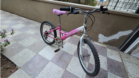 Spor Eşyaları, Çocuk Bisikleti, Salcano 20 Jant Vitesli Bisiklet.