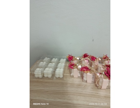 Hobi, Diğer Hobiler, Maket ve Aynalı Tepsi
