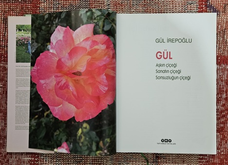 Kitap, Dergi, Diğer Kitaplar, Gül İrepoğlu, Gül-Aşkın, Sanatın ve Sonsuzluğun Çiçeği